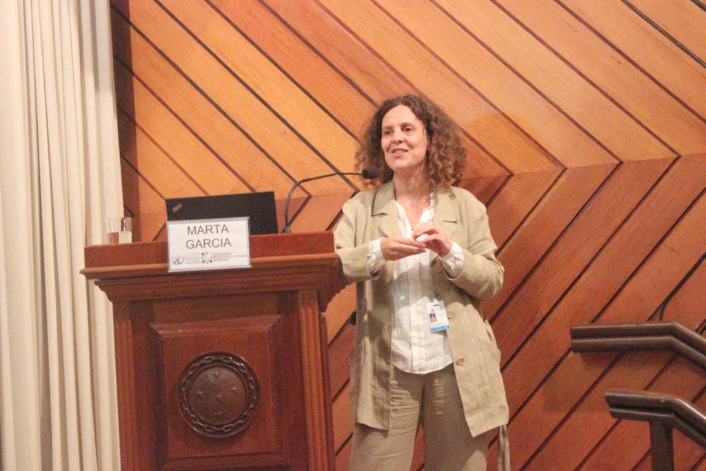 workshop protecao civis 2017 005